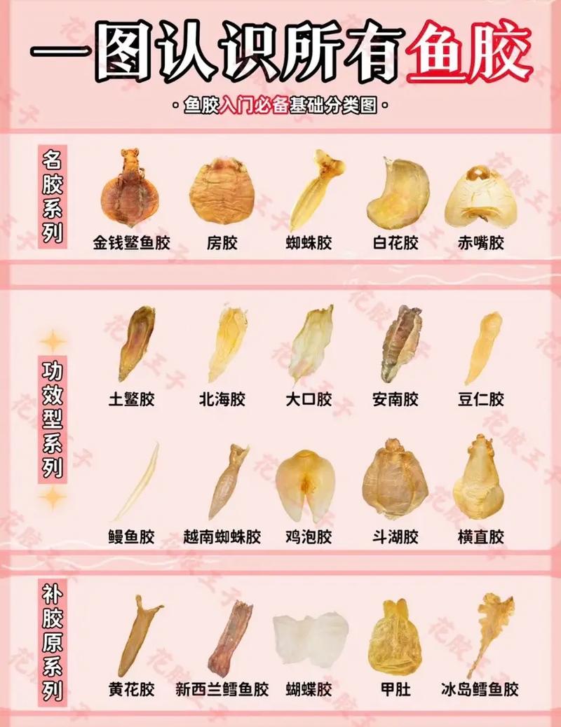 花胶在饮食中的作用：能否治疗痔疮？