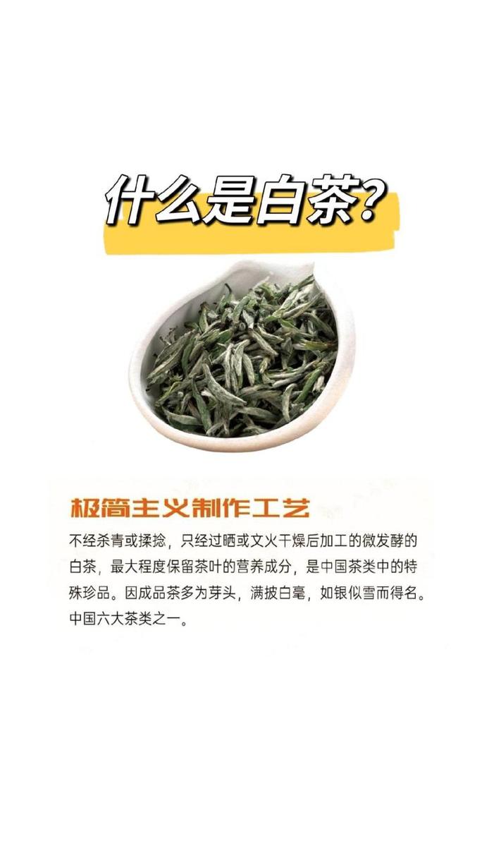 饮用白茶是否能够有效缓解痔疮症状？