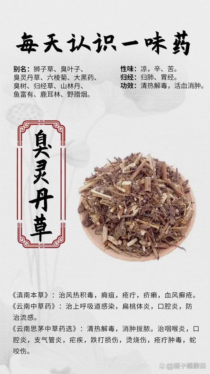 草叶药物