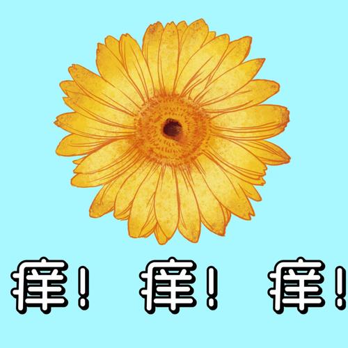 菊花状瘙痒