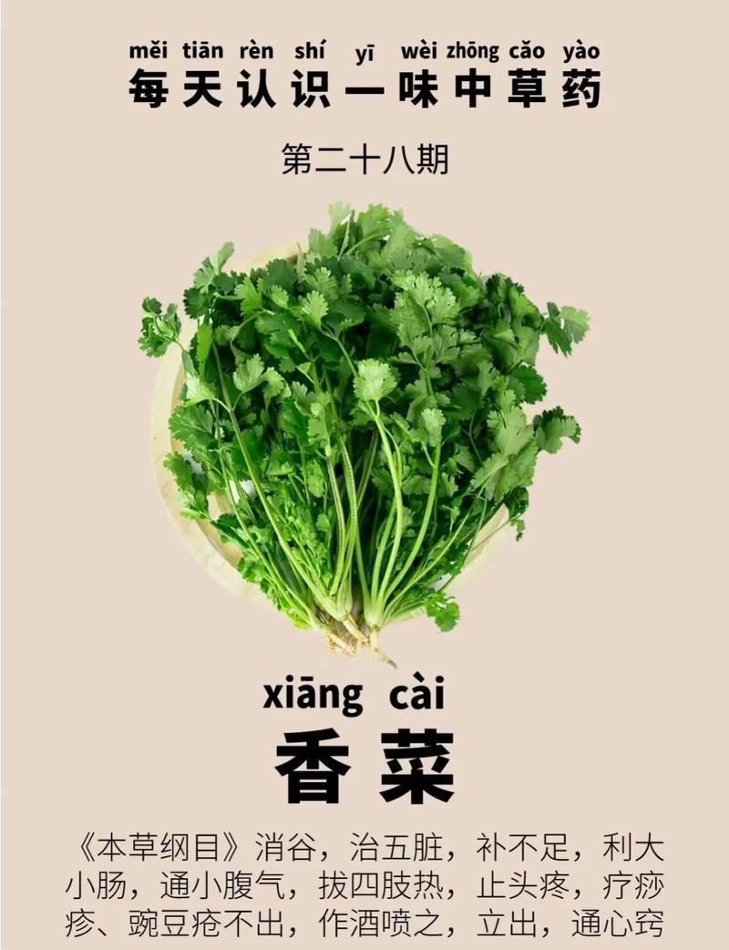 香菜偏方