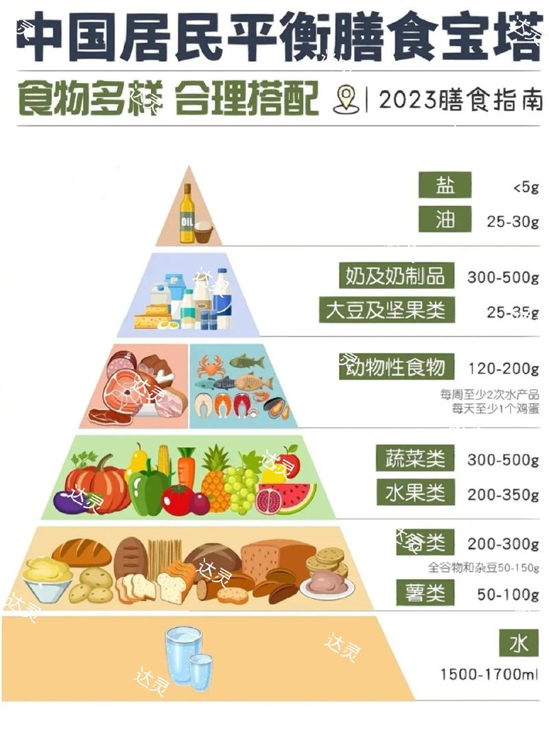 营养饮食指南