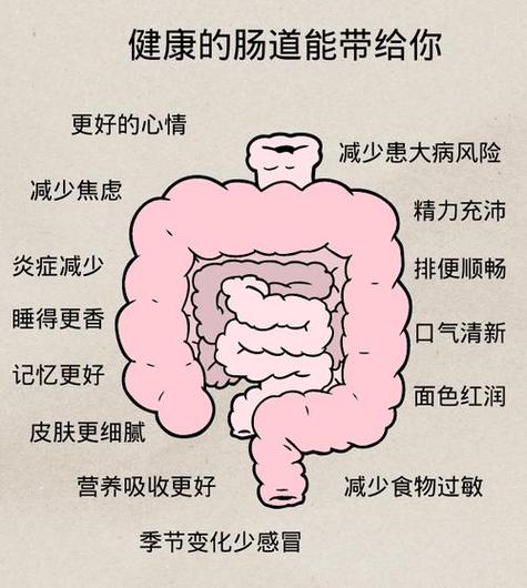 肠道疾病