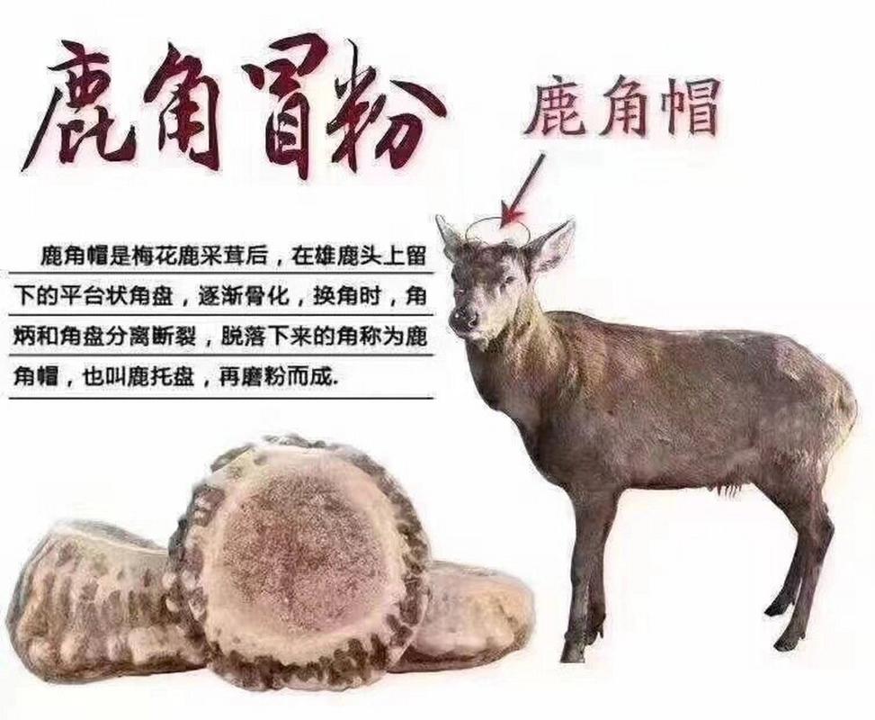 鹿角粉