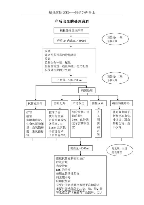 出血处理