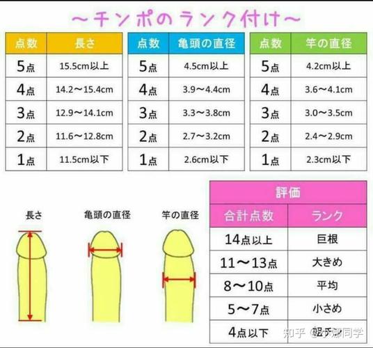 痔疮尺寸一览：多大才正常？