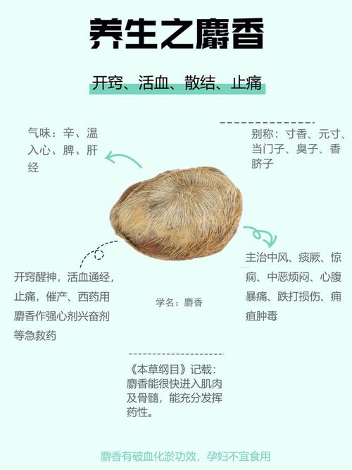 麝香偏方